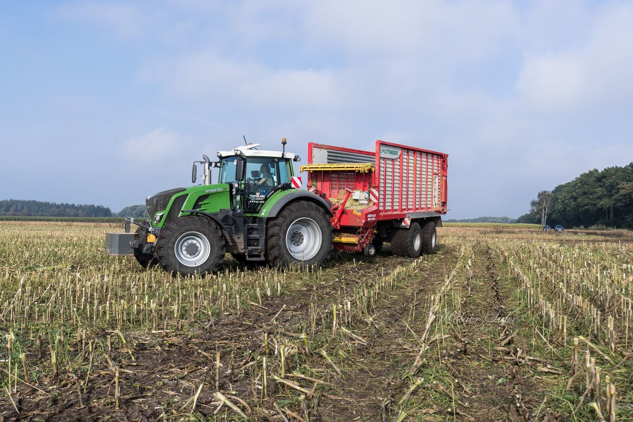 Bild 153 - Maisernte